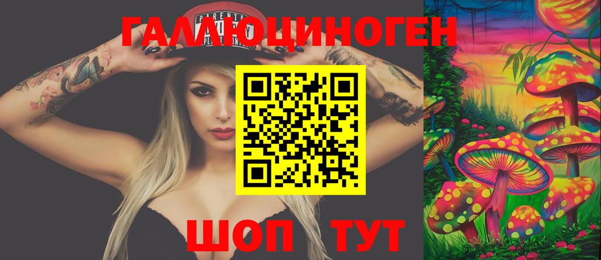 Владимир  Галлюциногенные грибы Psilocybine cubensis  Вход с VPN 